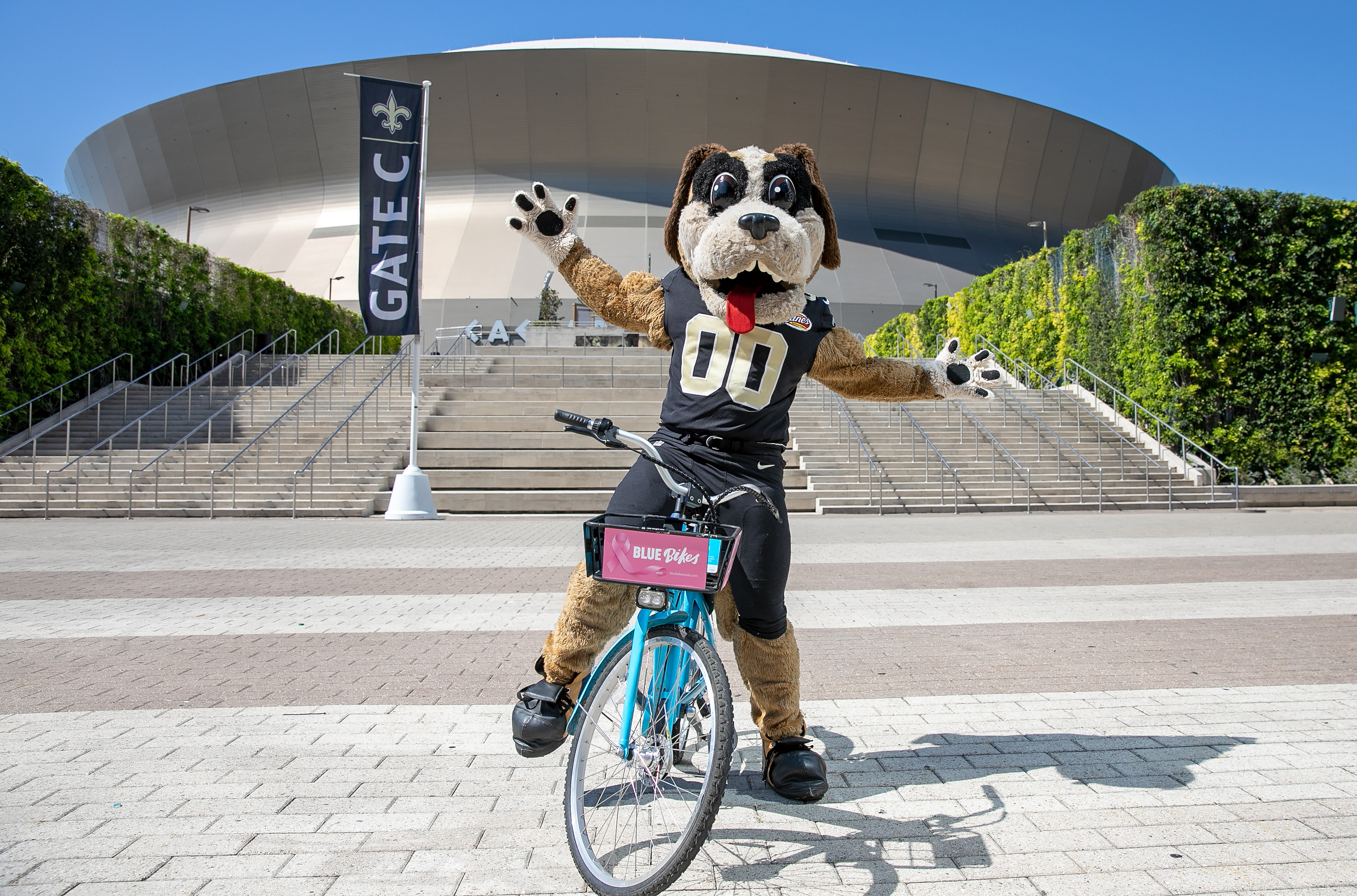 Gumbo - Ride Pink NOLA Superdome